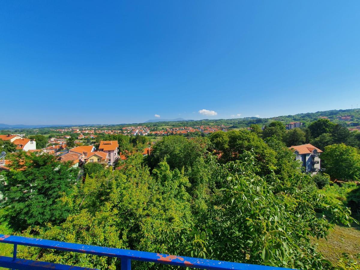 Vila Lav Sokobanja Bed & Breakfast Exterior photo