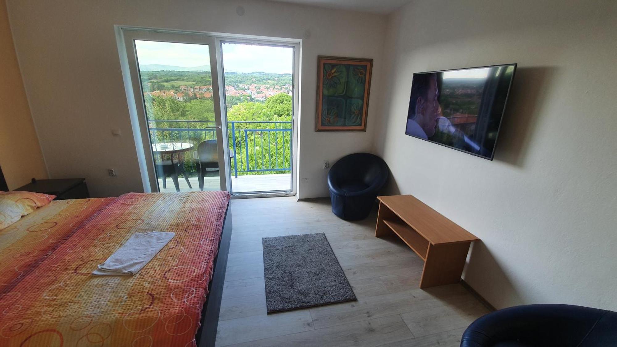 Vila Lav Sokobanja Bed & Breakfast Room photo